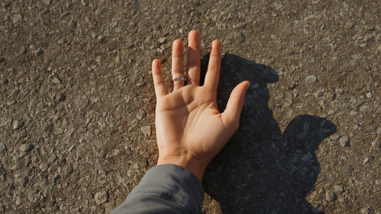 The 5-second pavement test: how to check if it’s too hot to walk your dog